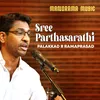 Sree Parthasarathi